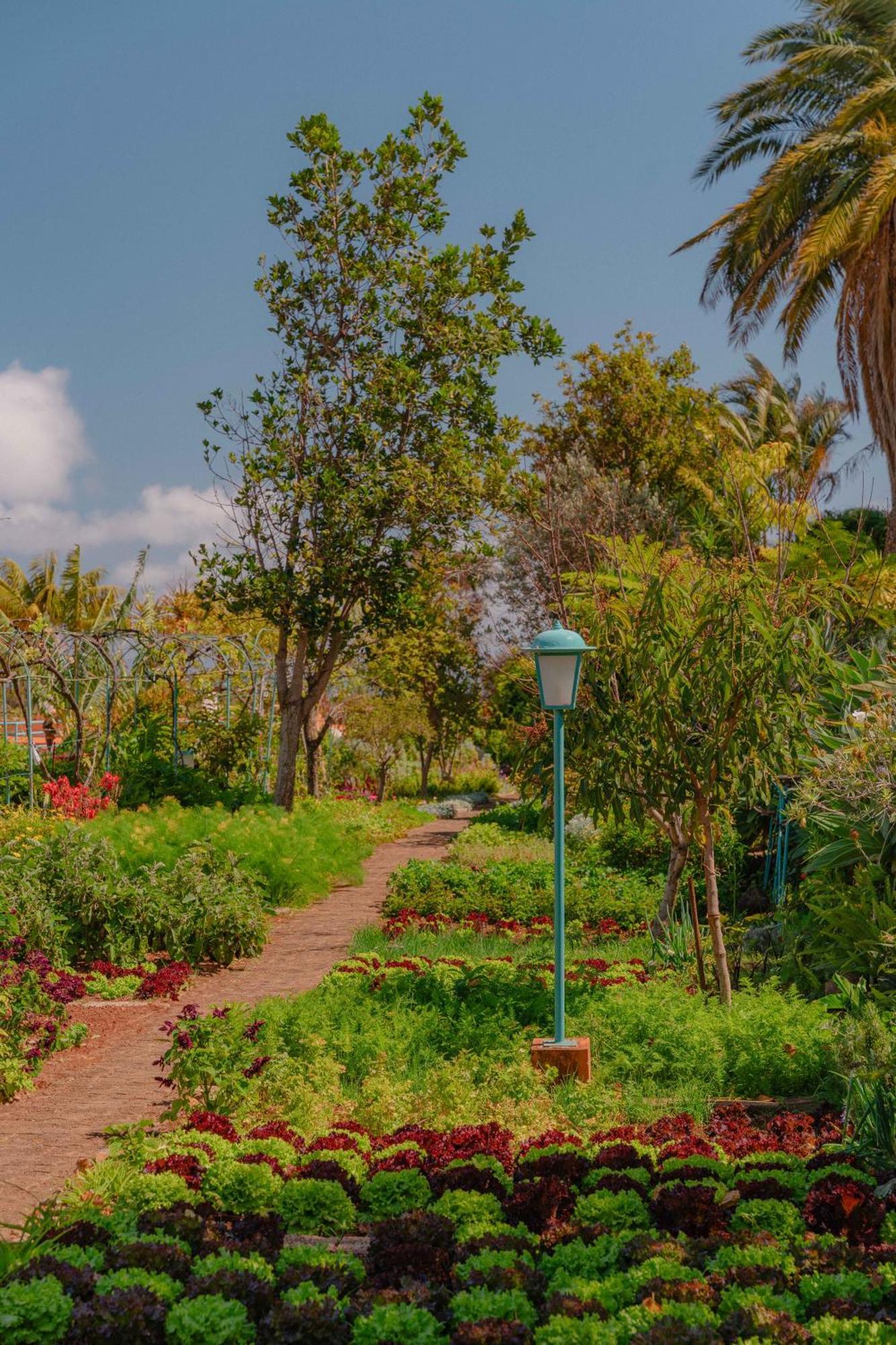 Quinta Splendida Wellness & Botanical Garden Hotel Caniço Kültér fotó